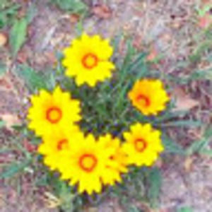 Meet your Posher, Tabitha